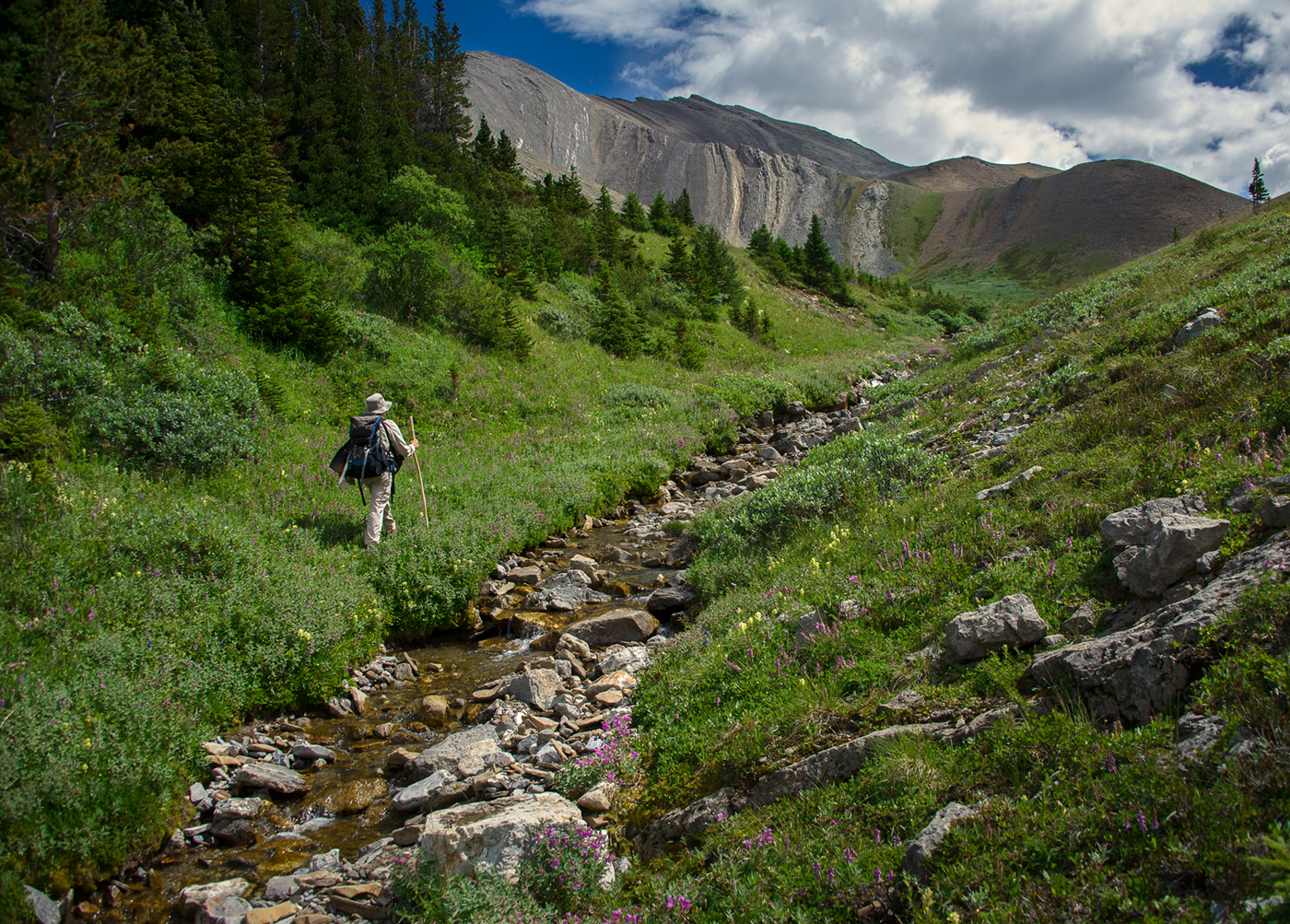 Willmore Wilderness Park, Rocky Mountains, Alberta, Canada